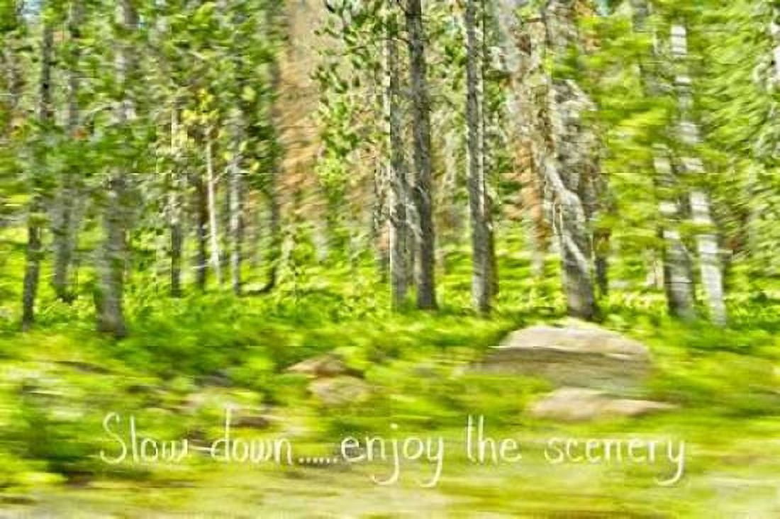 Slow Down Canvas Art - Ramona Murdock (24X36)