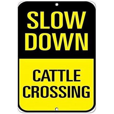 "Slow Down Not A Racetrack" Funny Aluminum Metal Sign – 8x12 Inches For Garage Or Man Cave