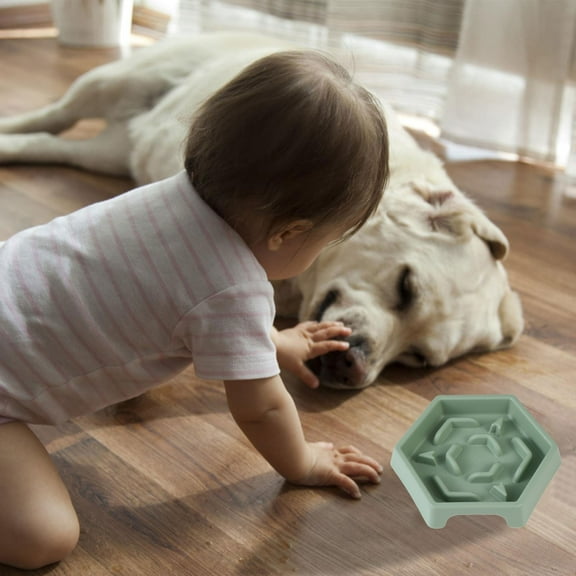 Slow Feed Dog Bowl Interactive Puzzle Feeder for Puppies and Dogs Flatulence Prevention Pet Food Dish