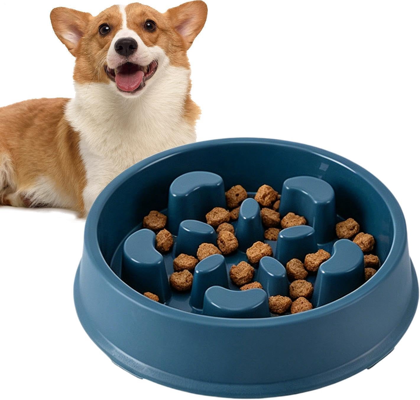 Slow Feed Dog Bowl, Lick Mat, Anti Slip, for Small and Medium Dogs