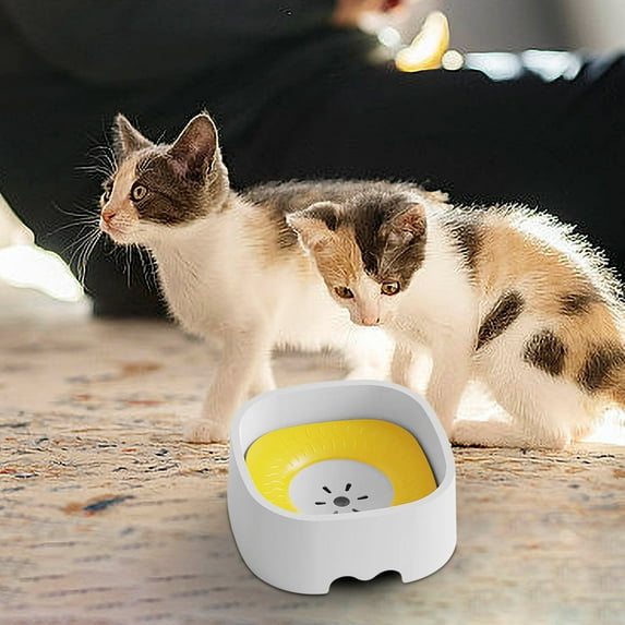 Slow Feed Dog Water Bowl with Floating Disc, 1l Leak Proof Anti Spill Pet Water Dispenser for Mess Free Drinking, Non Slip Base for Indoor and Outdoor Use with Cats and Small to Medium Dogs