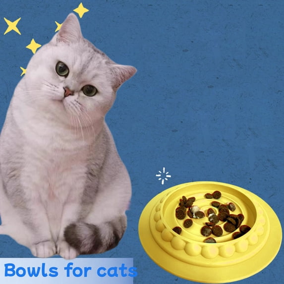 Slow Feeder Bowl Mat for Cats and Dogs Extend Mealtime Reduce Waste Promote Eating Habits Pet Feeding Dish