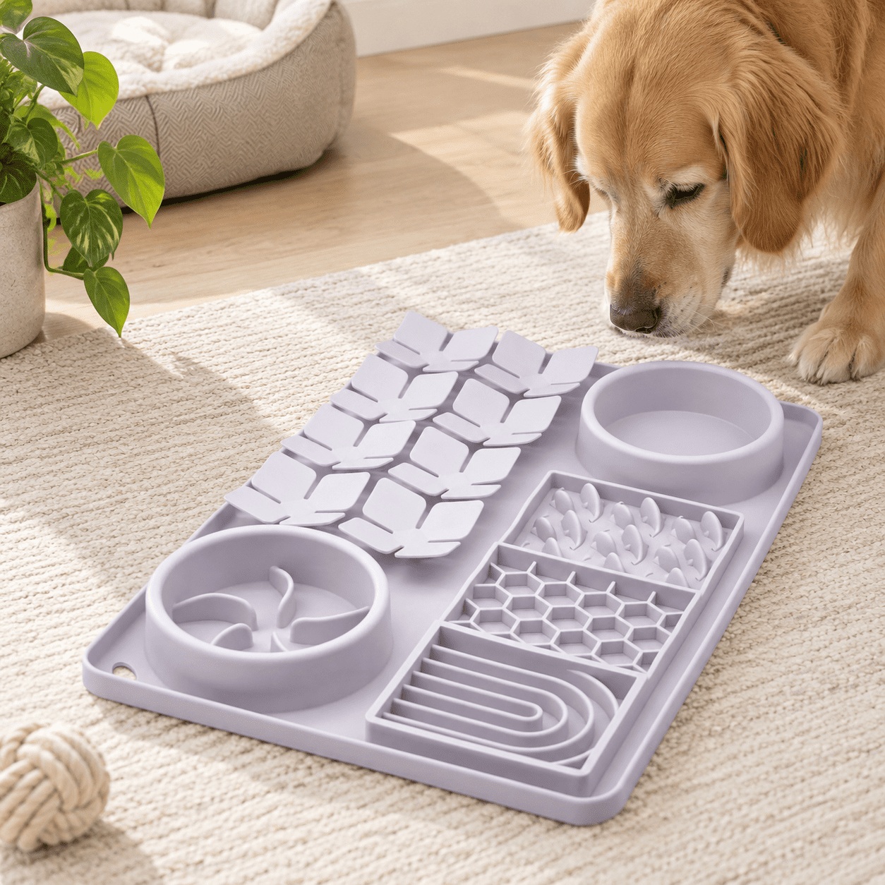 Slow Feeder Bowl Silicone Lick Mat With Suction Cups For Dog Cat Pet ...