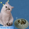 thumbnail image 1 of Slow Feeder Bowl for Cats and Dogs Extend Mealtime Reduce Eating Speed Promote Digestion Non- Pet Dish, 1 of 3
