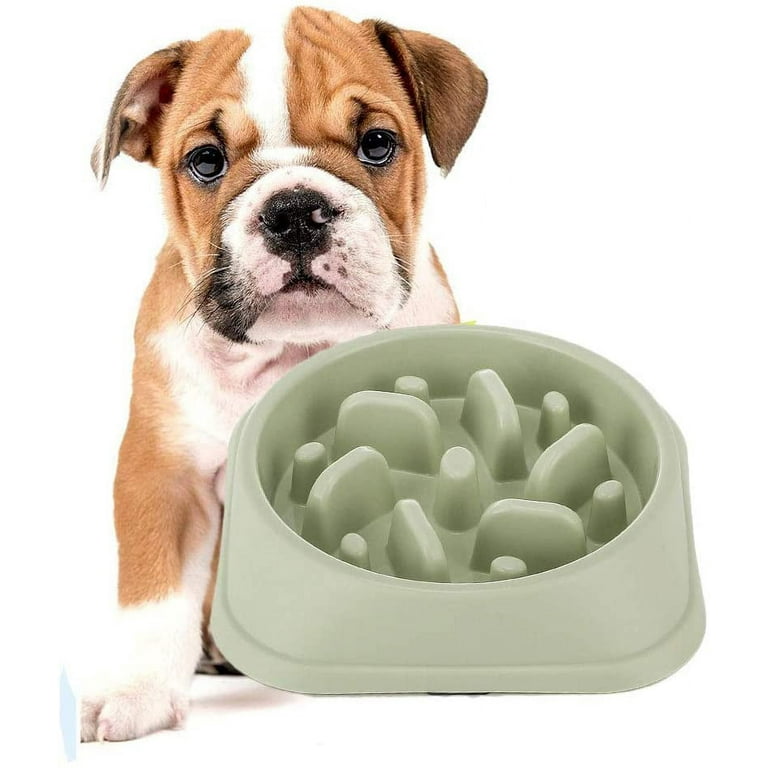 Slow Feeder Bowl,  Fun Interactive Feeder Bloat Stop Dog Bowl  Preventing Feeder Anti Gulping Drink Water Bowl Fan Shape Healthy  Eating Diet for Puppy Dog Pet 