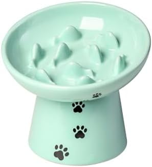 Slow Feeder Cat Bowl, Ceramic Cat Slow Feeder Bowl, 6 Inches, Elevated, Anti Vomiting for Dry and Wet Food, Green