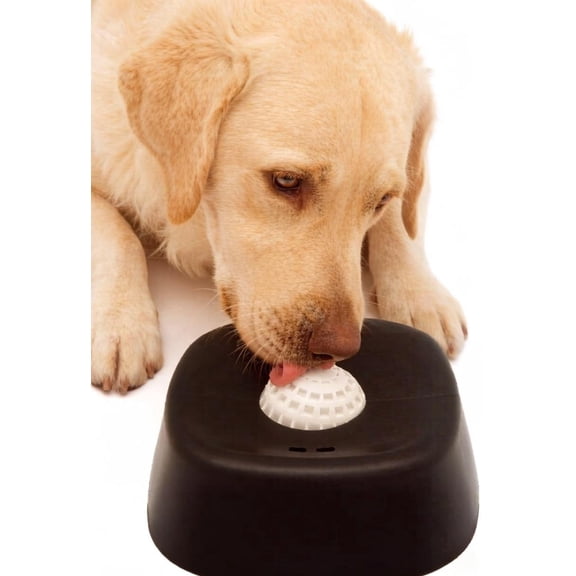 Slow Feeder Dog Bowl, Anti-Slip【Fun Ball-in】 Bone Essence Dog Lick Dish, 3/4 Cup Probiotic Yogurt Pup Lick Gadget for All Dog Sizes( Black,White Ball)