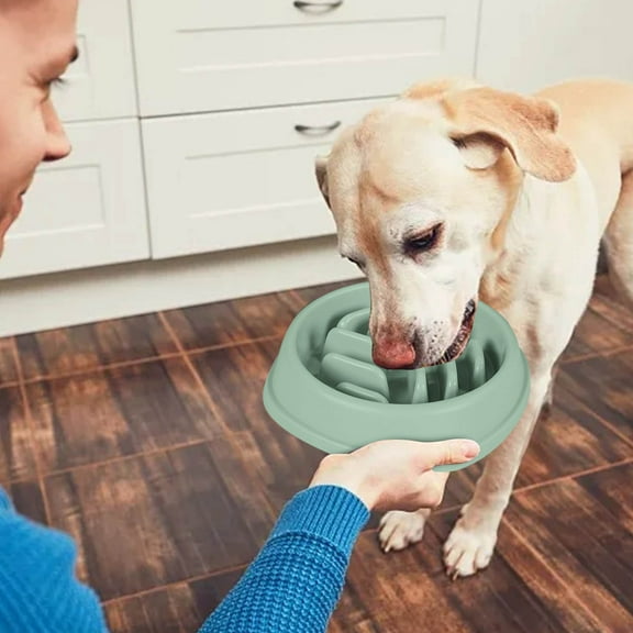 Slow Feeder Dog Bowl Large Capacity Anti- & Anti-Tumble Pet Food Dish for Big Dogs (Durable, Non-Spill)