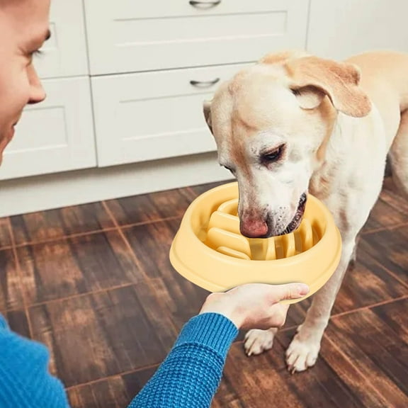 Slow Feeder Dog Bowl Large Capacity Non Tumble Proof Pet Dish for Cats and Dogs Mealtime Puzzle Solution