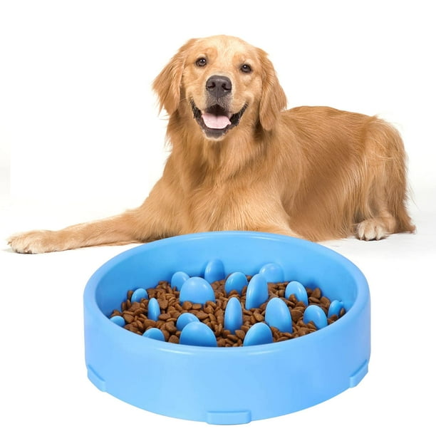 Fterwk Non Slip Slow Feeder Dog Bowl with Non Slide Mats for Dogs Blue Size 7.87 x 1.97