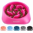 thumbnail image 1 of Slow Feeder Dog Bowls, Anti-Choking Puzzle Dog Food Bowls, Non Slip Interactive Dog Feeding Bowls That Slow Down Eating, Bloat Stop Maze Dog Dishes Dog Feeder for Medium Large Breeds Purple, 1 of 9