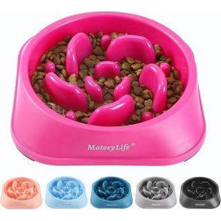 Pet Dog Feeding Supplies Cat Dog Interactive Maze Slow Food Bowl Plastic Bowl Pet Dog Feeding Supplies Cat Dog Interactive Maze Slow Food Bowl Plastic Bowl