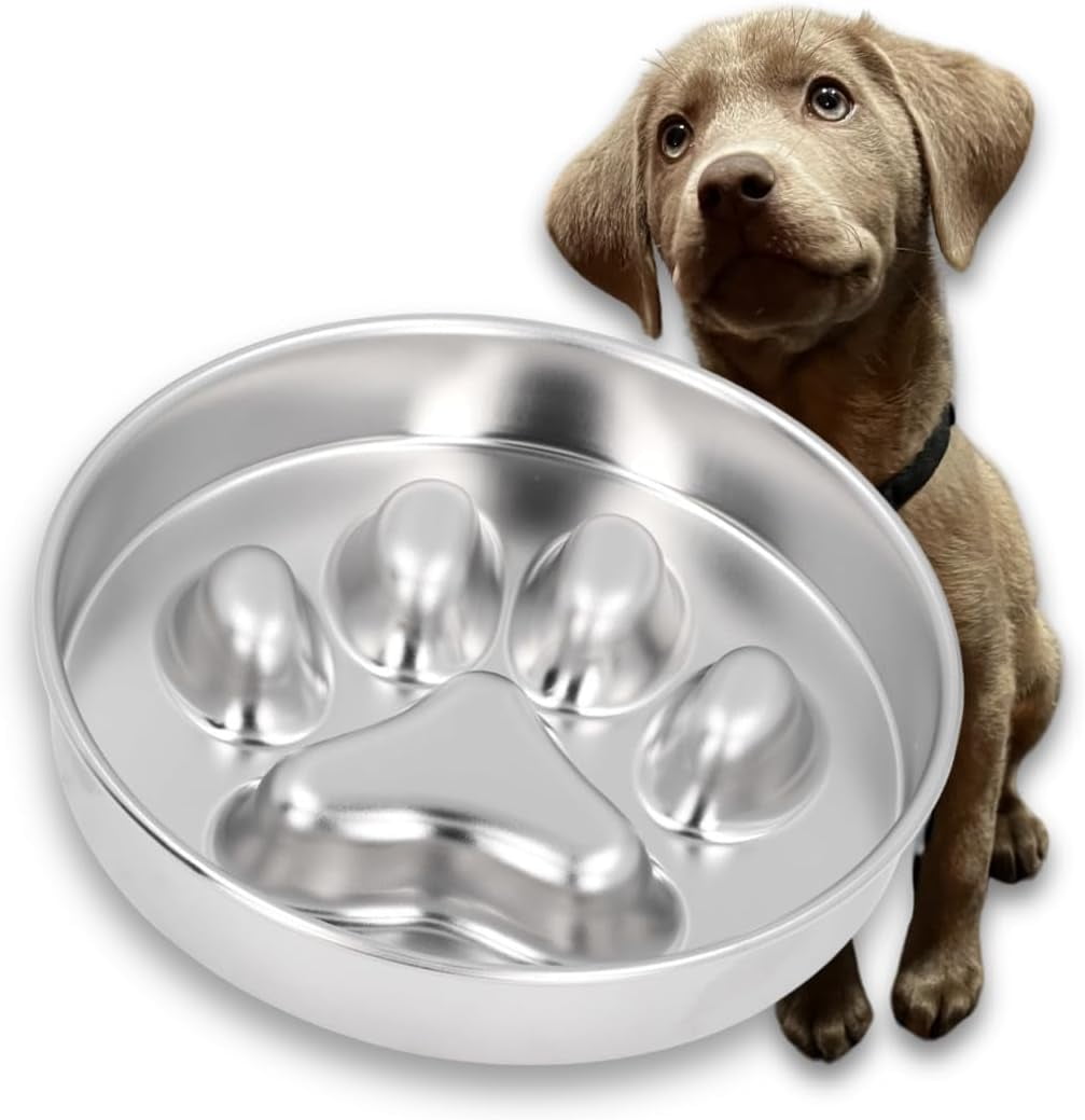 Dog Slow Feeder Bowl Anti-Bloat