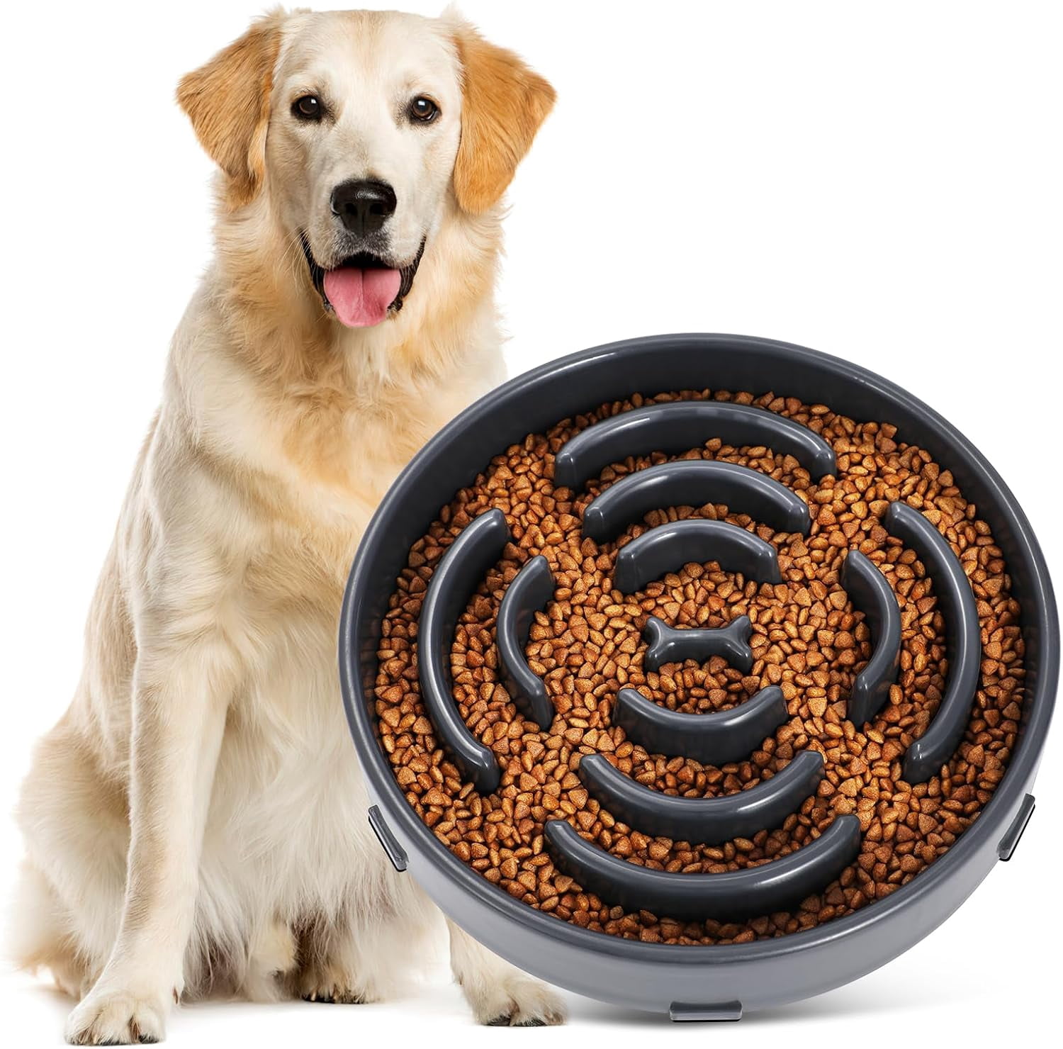 I Basically Entity Eating Slow Eating Bowls For Dogs With Digestive Issues preview