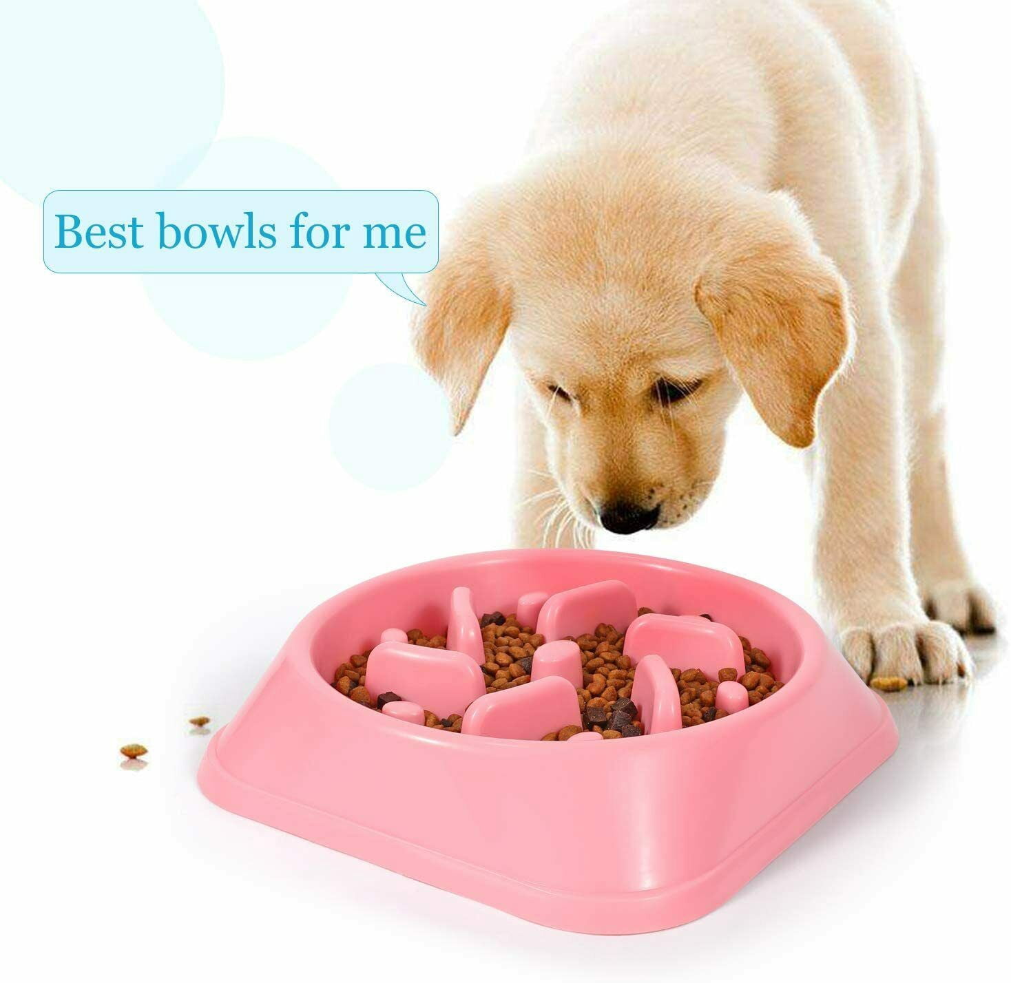 SHORT DOG BOWL main image 1