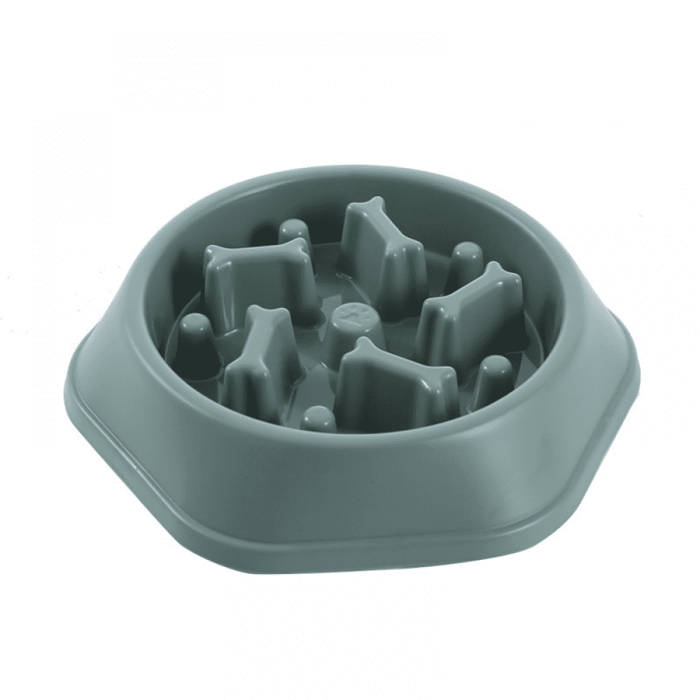Beautiful view of Slow Feeder Dog Bowls For Kennel Use