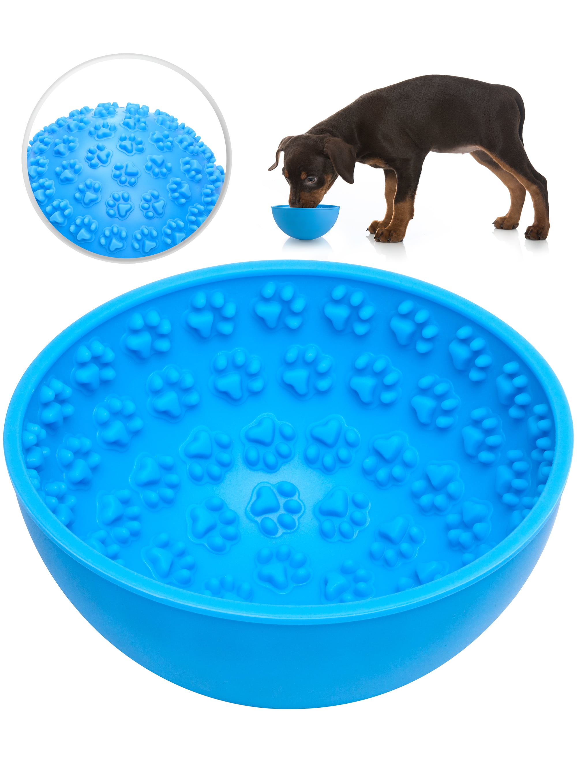 Snapshot of Anxiety Related Eating Bowls For Dogs