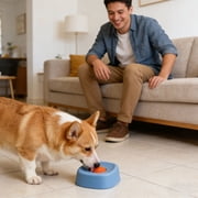 Slow Feeder Dog Lick Bowl with Ball - rated 3 stars from 2 reviews