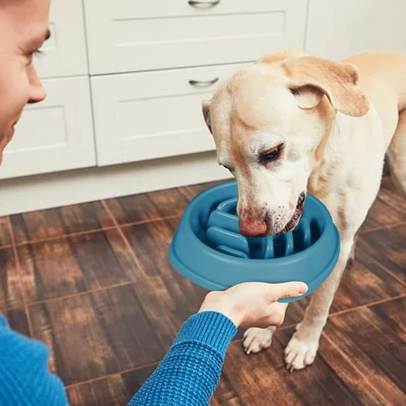 Slow Feeder Pet Bowl for Dogs and Cats with Large Capacity Non Tumble Proof Design