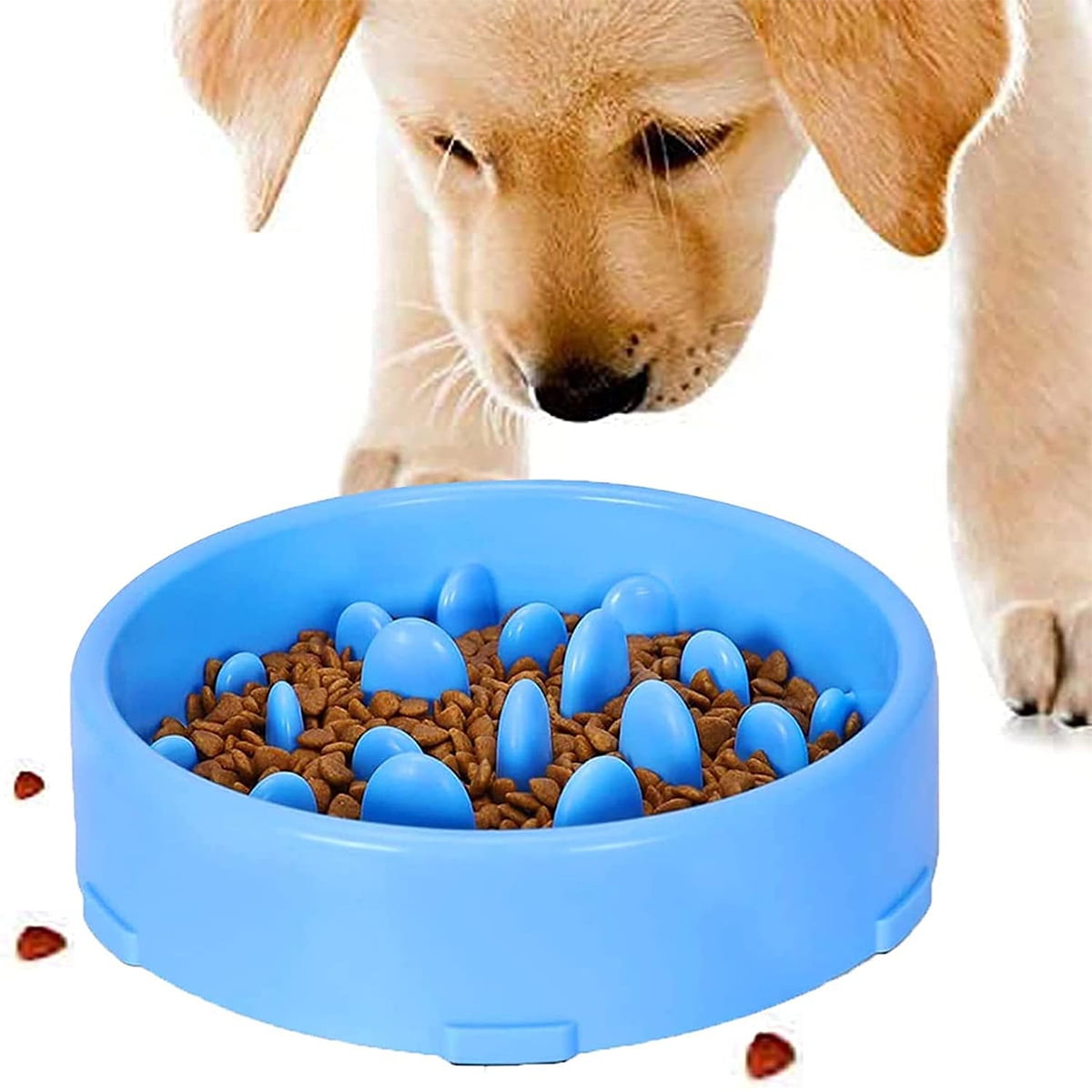 https://i5.walmartimages.com/seo/Slow-Feeding-Dog-Bowl-Slow-Feeding-Anti-Slip-Design-Fun-Interactive-Feed-Cats-And-Dogs-For-Bowl-Promotes-Healthy-Feeding-And-Slow-Digestion-Blue_e4b5cb1d-db92-43c4-80df-38c53d464a47.b5a51d215e10bff4e63d14529adbea0e.jpeg