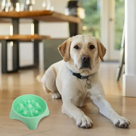 Slow Feeder Dog Bowl Functional Pet Dish for Improved Digestion and Healthier Mealtime