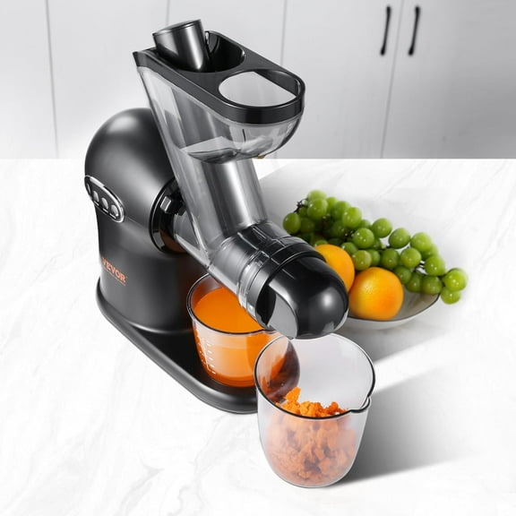 Slow Masticating Juicer