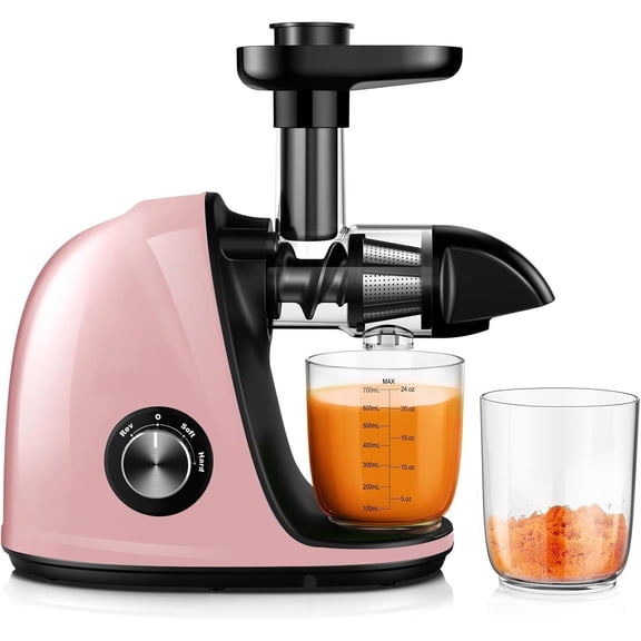 Slow Masticating Juicer with 2-Speed Modes - Cold Press Juicer Machine - Quiet  & Reverse Function - Easy to Clean Juicer Extractor - Juice Recipes for Fruits & Vegetables (Light )