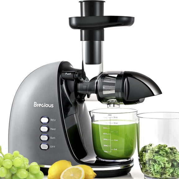 Slow Masticating Juicer,Brecious Cold Press Juicers with 2 Speed Modes & Quiet Motor,Juicers Machines Vegetable and Fruit with Reverse Function,Celery Juicer,BPA-Free,Easy to Clean (Silver) Y101