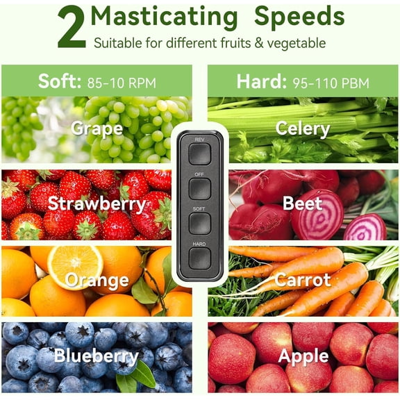 Slow Masticating Juicer Machine with 2 Speed Modes & Quiet Motor, Cold Press Fruit Vegetable Extractor with Reverse Function, BPA-Free Easy to Clean Grey