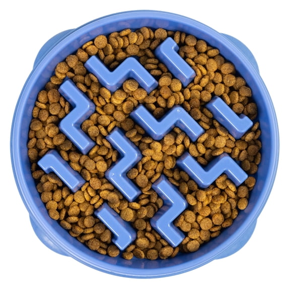 Slow feeder dog bowl, large, 4-cup maze design for medium/large dogs. Promotes healthy eating, reduces bloating/choking, interactive fun. Non-slip, easy-clean, blue.