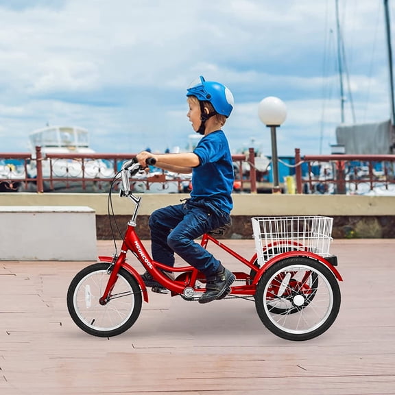 MOONCOOL 16 inch Tricycle Trikes for Beginner Riders, Small Tricycle Single Speed 3 Wheel Bikes, Low Step Through Three-Wheeled Bicycles with Rear Basket
