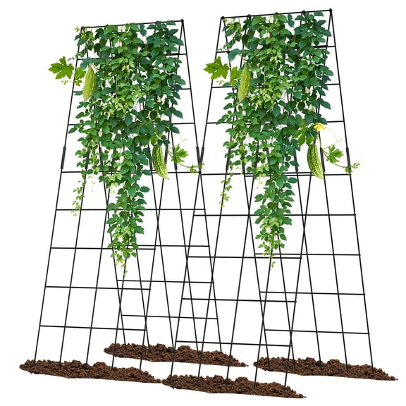 Slsy A-Frame Cucumber Trellis - Steel Plant Support for Climbing Plants