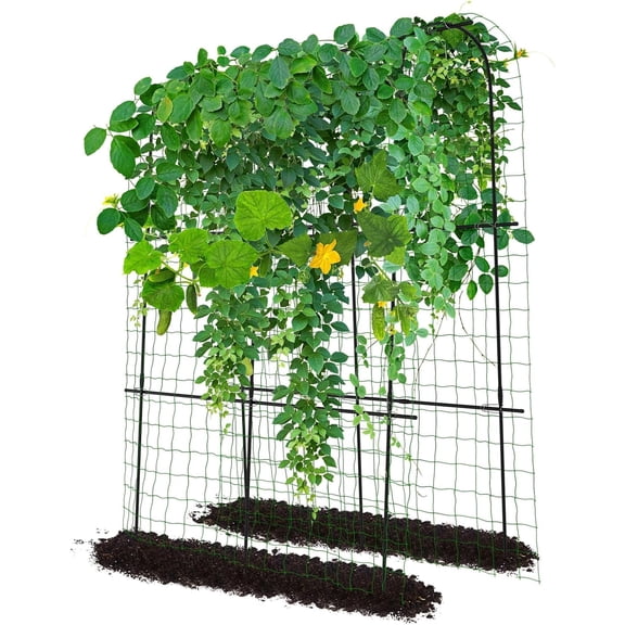Slsy Tall Garden Arch Trellis Cucumber Trellis for Climbing Plants, 71" H x 71" L x 20" W Tall Metal Plant Support Trellis for Climbing Vine Vegetable/Fruit/Flower Outdoor Yard Lawn Garden