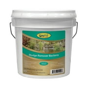 Sludge Remover Bacteria, 5 lb. pail, 1 oz. WSP - Approx. 70 - 75 packets