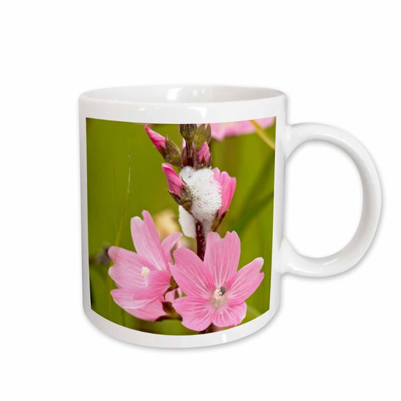 3drose, Slug Eggs, Rose Checker Mallow Flower - Us38 Rbr0268 - Rick A. Brown, 15oz Mug