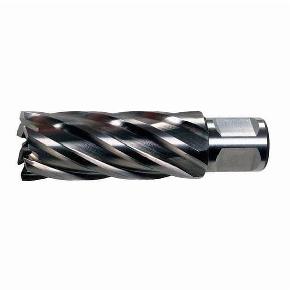 Slugger by Fein Sharp Cutter,1in,HSS 63134254103