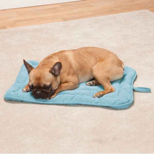 Slumber Pet Reversible Mat