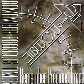 Sly & Robbie Remember Precious Times (Vinyl Record)