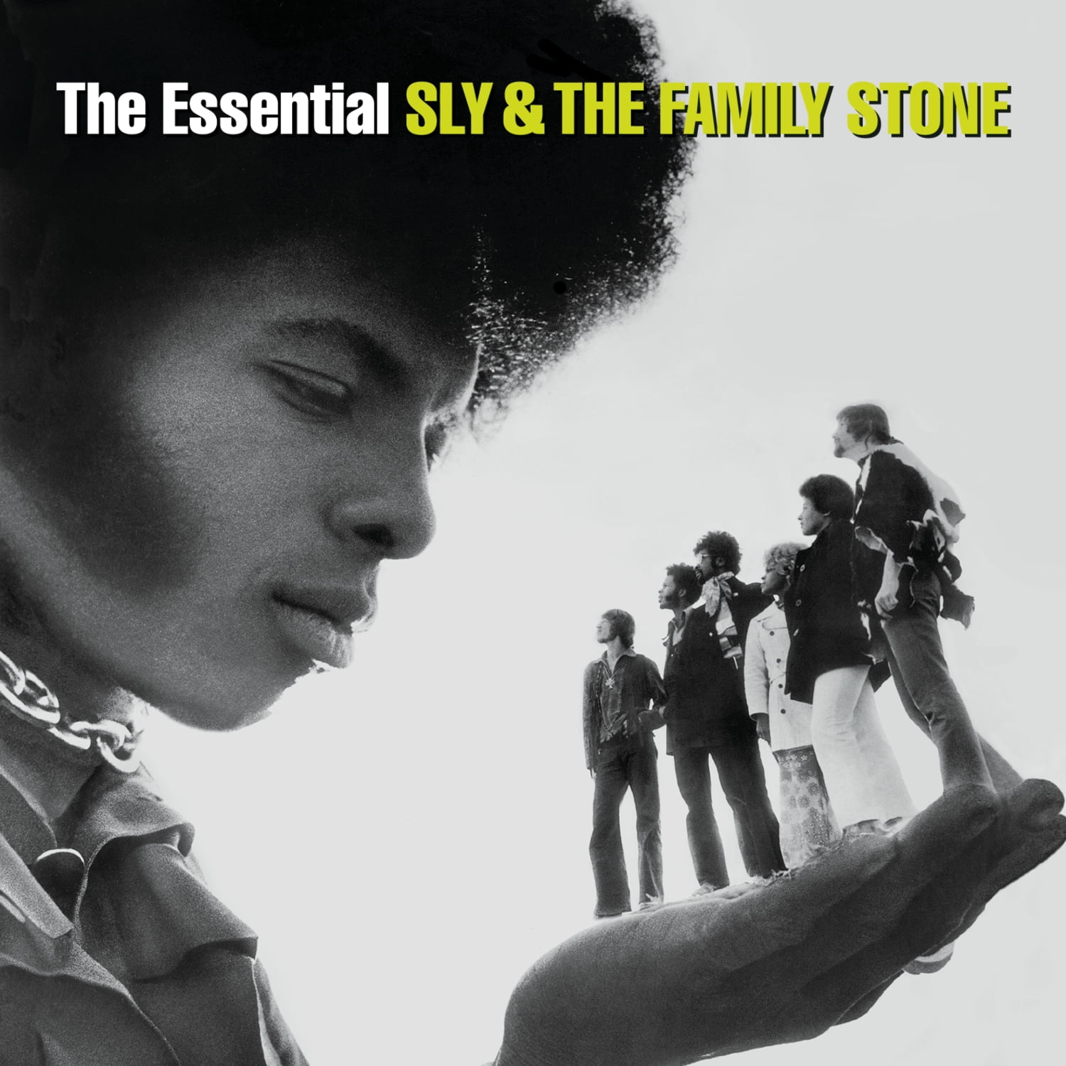 洋楽 SLY & THE FAMILY STONE / MD Sly & the Family Stone - Essential Sly & Family Stone - Music