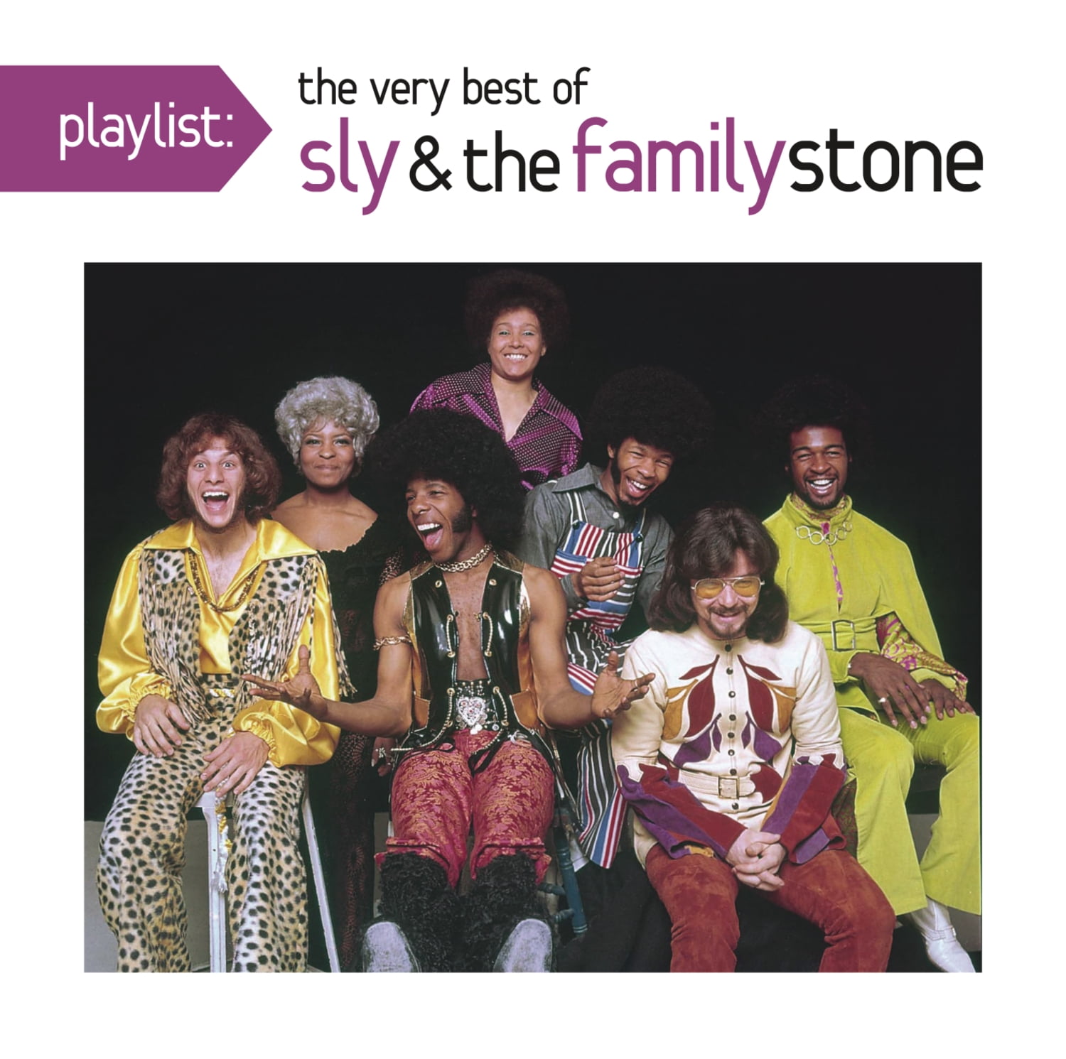 SONY/BMG CUSTOM MARKETING GRP Sly & the Family Stone - Playlist: The Very Best of Sly & the Family Stone - Music & Performance - CD