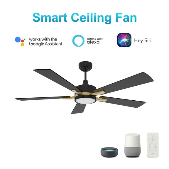 Smaair 52" 5-Blade Black and Gold Ceiling Fan with LED Light Kit & Remote Control