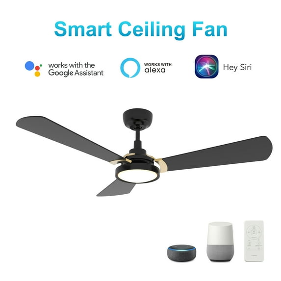 Smaair 52" Black and Gold Ceiling Fan with Remote and Light 10 Speeds Silent DC Motor