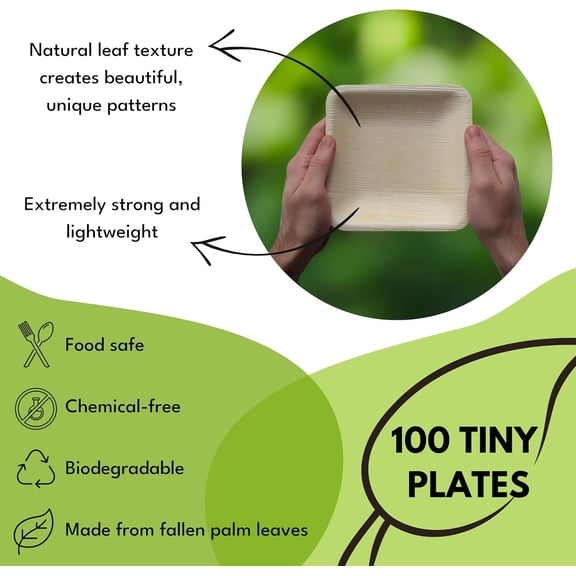 Small 6 Inch Square Bamboo Plates 100 Pack Biodegradable Compostable Dessert Plates