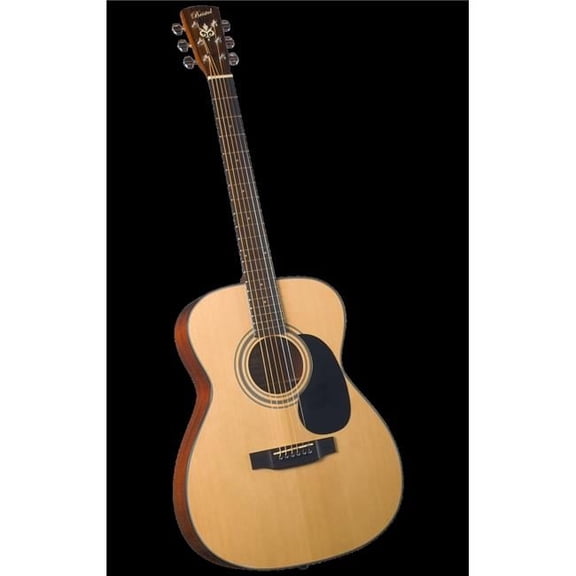 Small Acoustic Guitar