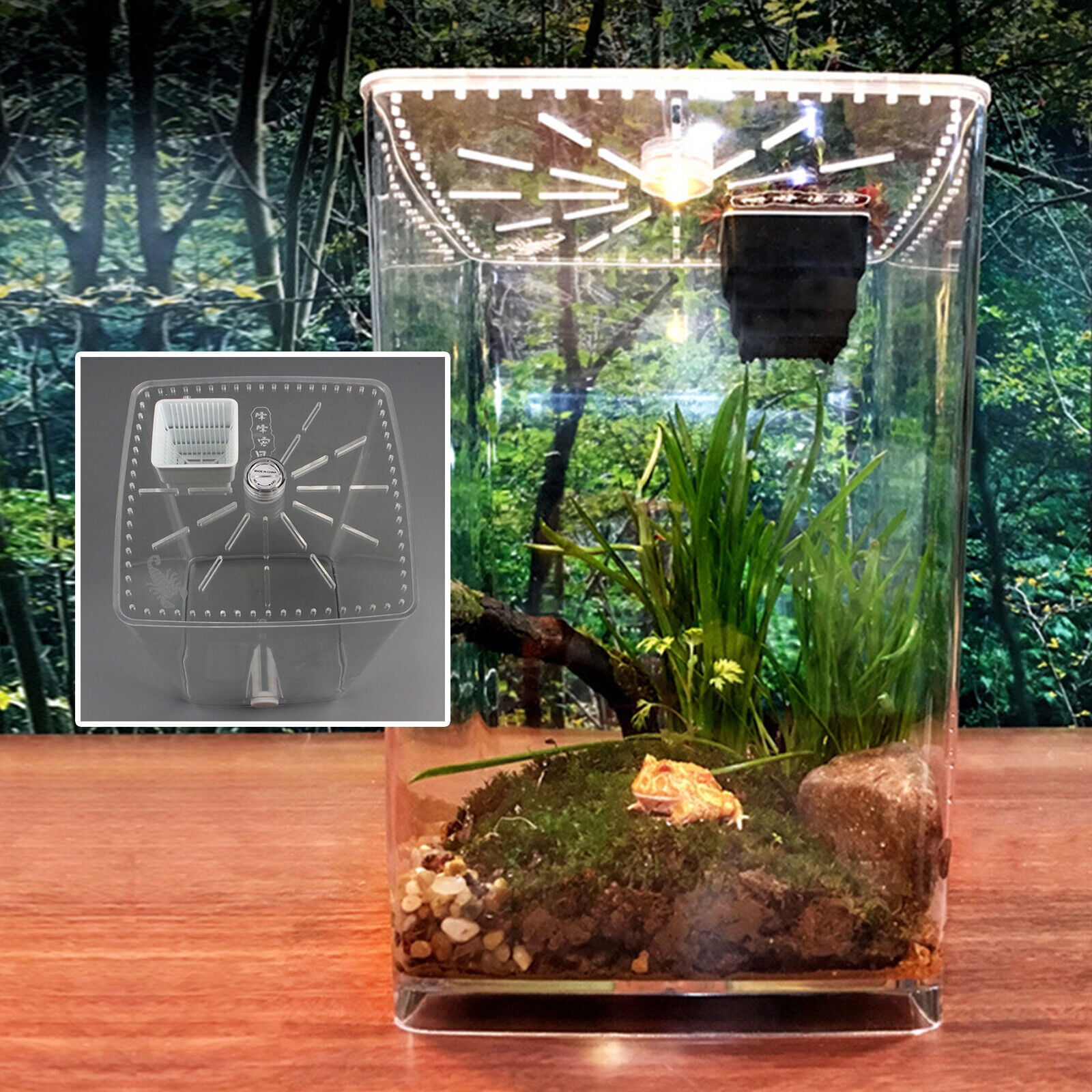 Insect Tank Small Acrylic Enclosure Terrarium Supplies LED Tarantula Scorpion ...