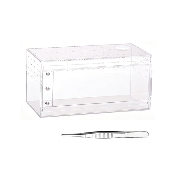 Small Acrylic Terrariums with Bottom Drain for Simple Cleaning and Improved Observability