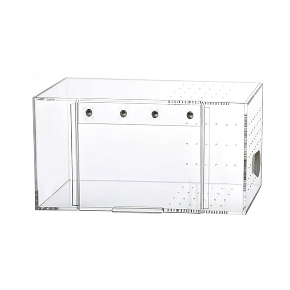 Small Acrylic Terrariums with Bottom Drain for Simple Cleaning and Improved Observability