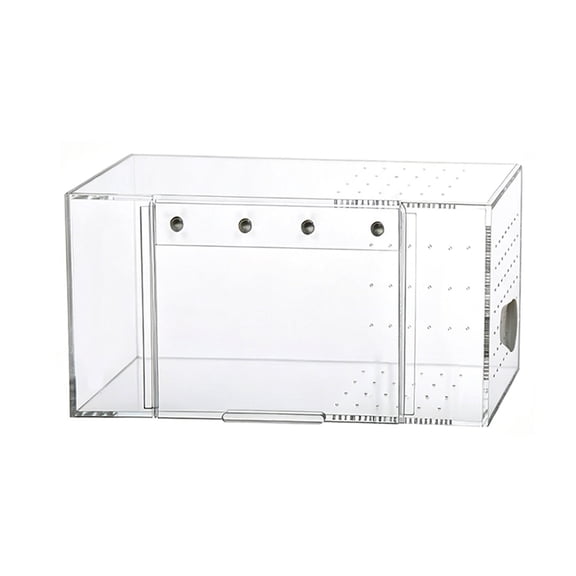 Small Acrylic Terrariums with Bottom Drain for Simple Cleaning and Improved Observability