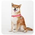 thumbnail image 1 of Small Adjustable Pink Nylon Dog Harness, No-Pull Escape-Proof Pet Vest Harness with Quick-Release Buckle, Comfortable & Breathable for Small Dogs, Outdoor Walking, Training & Hikin, 1 of 5