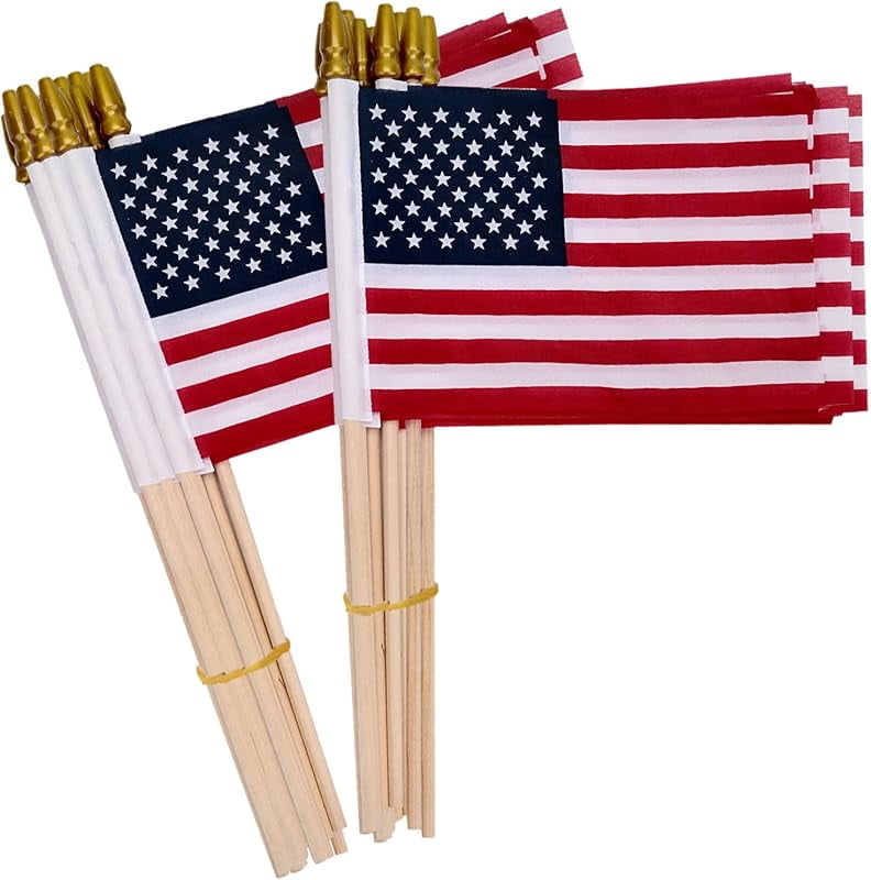 Small American Flags on Stick 5x8 Inch/12 Pack - Mini Ameirican Flags ...